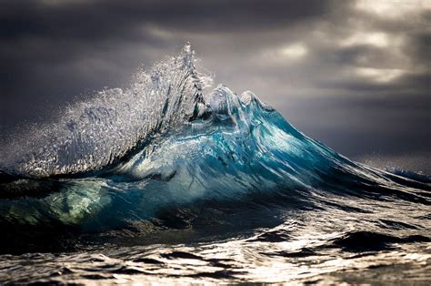 Ray Collins The irresistible force — DOP