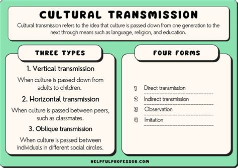 Cultural Transmission: Definition, Types and Examples (2024)