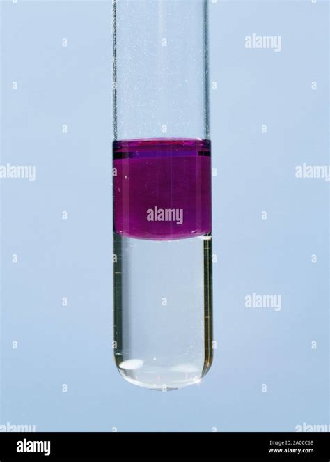 Iodine solubility. Test tube with a mixture of water, cyclohexane and ...