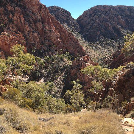 Trek Larapinta (Alice Springs): UPDATED 2019 All You Need to Know Before You Go (with PHOTOS)