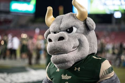 USF Mascot Rocky the Bull vs. NIU 2016 by Dennis Akers | SoFloBulls