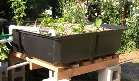 Aquaponics Bountiful Grow Bed