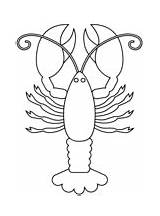 Crawfish coloring Pages  Free Coloring sketch template