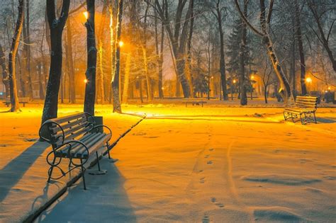 Premium Photo | Winter evening in a central park