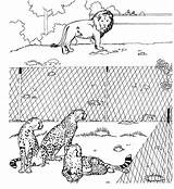 Zoo Entrance Coloring Page sketch template