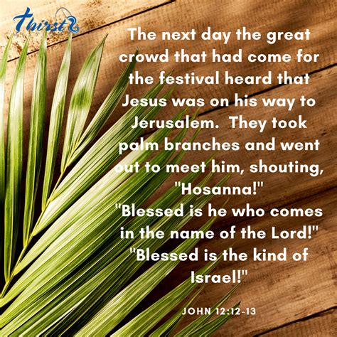 Palm Sunday - "Blessed is he who comes in the name of the Lord!" #John12 #SundayScripture # ...