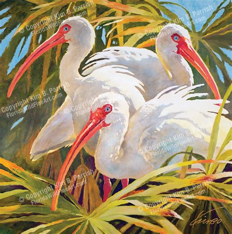 White Ibis Painting | Original Art On Canvas