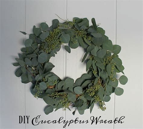 Wonderfully Made: DIY Eucalyptus Wreath