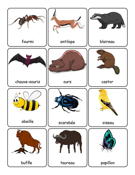 119 French Animals' Names Vocabulary Flashcards Labels for Classroom ...