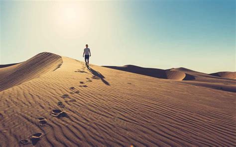 Things to Do in Liwa: Camping, Dune Bashing & More - My Bayut