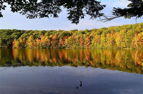 Le parc national du Mont-Saint-Bruno – Nature sauvage