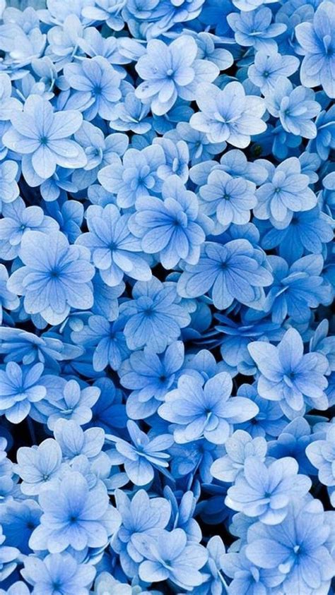 Blue Spring Flowers Wallpapers - Wallpaper Cave