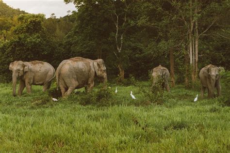 The Best Wildlife Photography Books for Learning » ItsJustLight.com