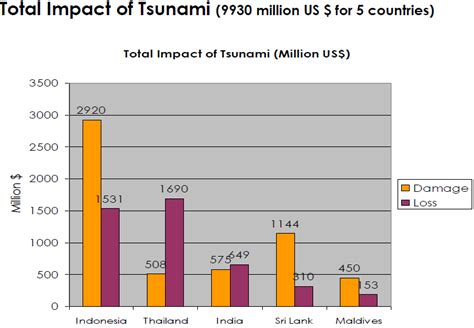 Indian Ocean Tsunami in 2004 Essay Example [903 Words] | EssayWriter