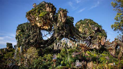 A visit to Disney's Pandora — what we learned - Orlando Sentinel