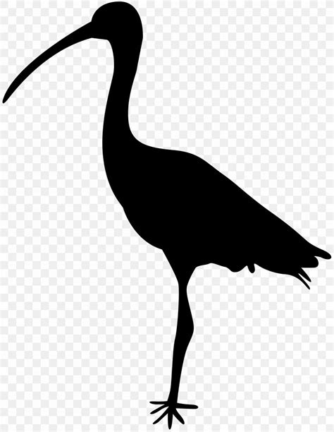 Bird Crane Silhouette Clip Art, PNG, 6189x8000px, Bird, Beak, Black And ...