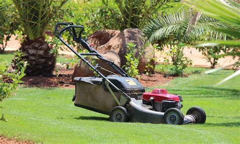 10 Common Lawn Mower Problems And How to Fix Them - Best of Machinery