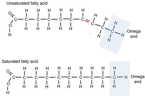 Getting More Omega-3 Fatty Acids from Milk - International Milk ...