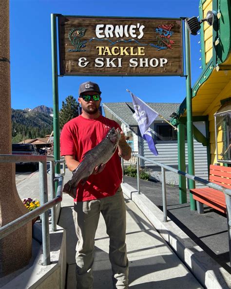 Gull Lake Fish Report - June Lake, CA (Mono County)