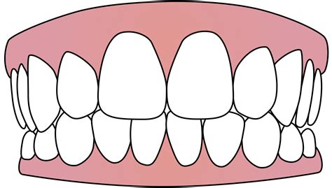 Tooth clipart vector, Tooth vector Transparent FREE for download on ...