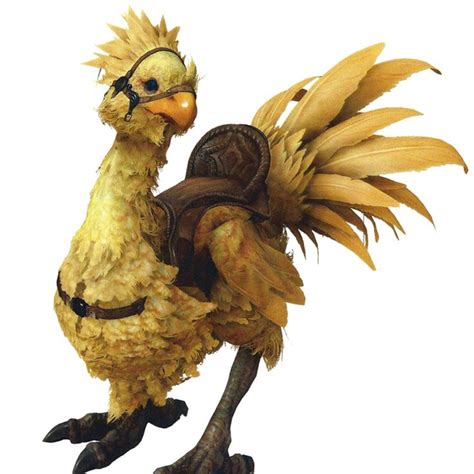 Chocobo Render - Final Fantasy XV Art Gallery | Final fantasy, Fantasy ...