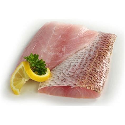 RED SNAPPER Fillet