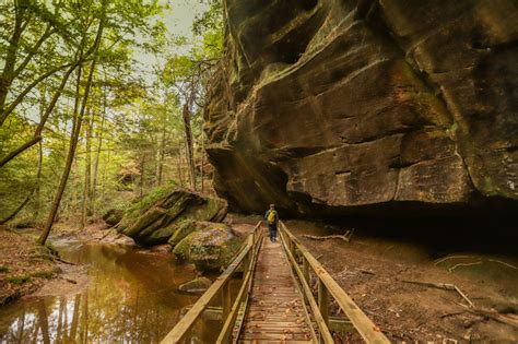 Dismals Canyon: Alabama's Most Unexpected Natural Treasure