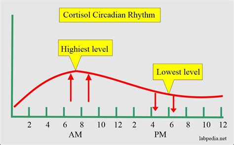 Blood Cortisol Levels Chart