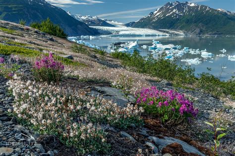 Alaska Nature & Landscapes Photography - Jeff Schultz