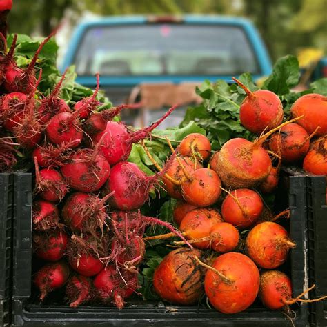 The Woodlands Farmers Market | The Woodlands