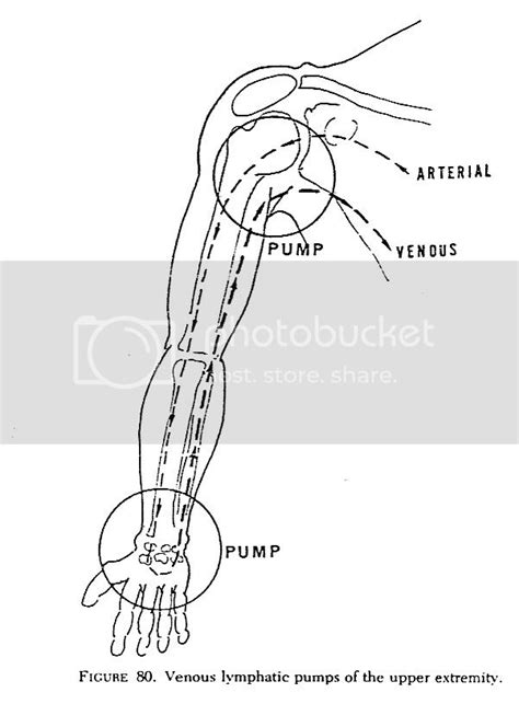 ALL ABOUT REHAB: PAIN &OTHERS: Low level laser for shoulder pain -after stroke - and shoulder injury