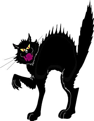 Free Scared Cat Cliparts, Download Free Scared Cat Cliparts png images ...