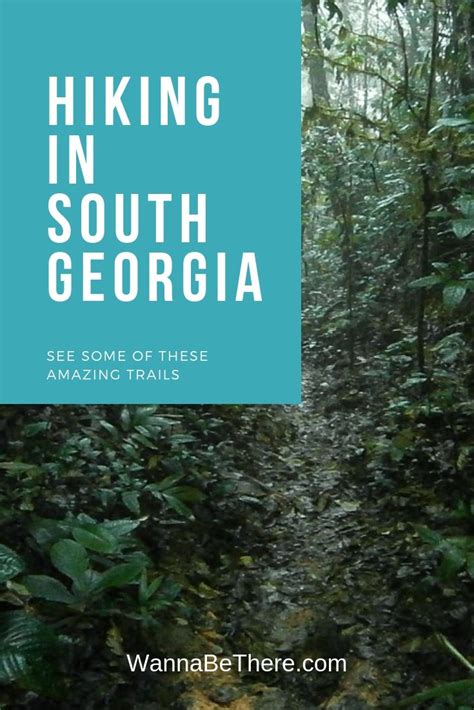 Where to Go Hiking in South Georgia (Including the Little Grand Canyon) | Go hiking, Hiking in ...