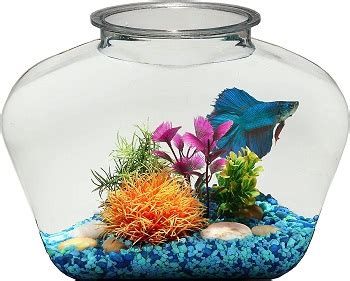 Best 6 Cold Water Aquarium/Fish Tanks With No Heater Needed