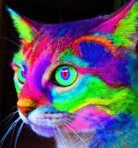 Look Deep Into My Feline Eyes... | Sticker Robot Custom Stickers