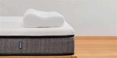 Ecosa Pillow Review: Is It the Comfiest Pillow? - Relaxing Decor