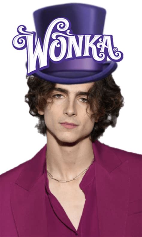 Timothée Chalamet Cast As Willy Wonka In WB’s Charlie & the Chocolate ...