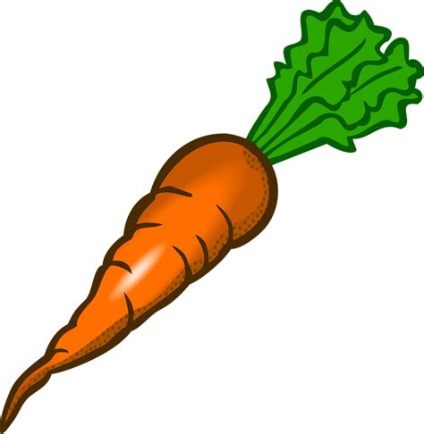 Carrot Vegetable Food · Free vector graphic on Pixabay