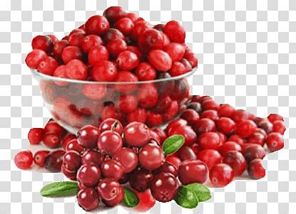 clipart cranberry sauce 10 free Cliparts | Download images on Clipground 2024