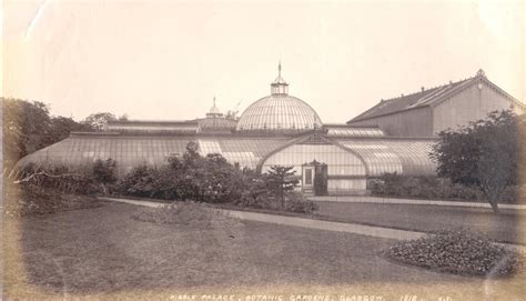 History - the Friends of Glasgow Botanic Gardens