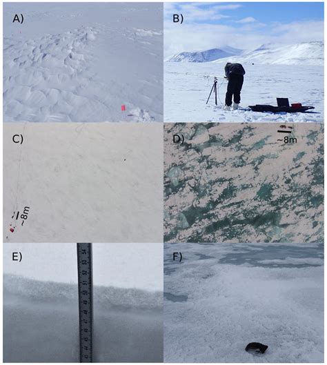 TC - Metamorphism of snow on Arctic sea ice during the melt season: impact on spectral albedo ...