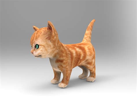 Cute cat animation 3D model - TurboSquid 1217230