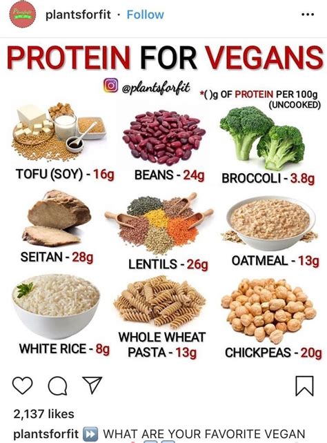 15 Impressive Vegan Bodybuilding Meal Plan Build Muscle - Best Product Reviews