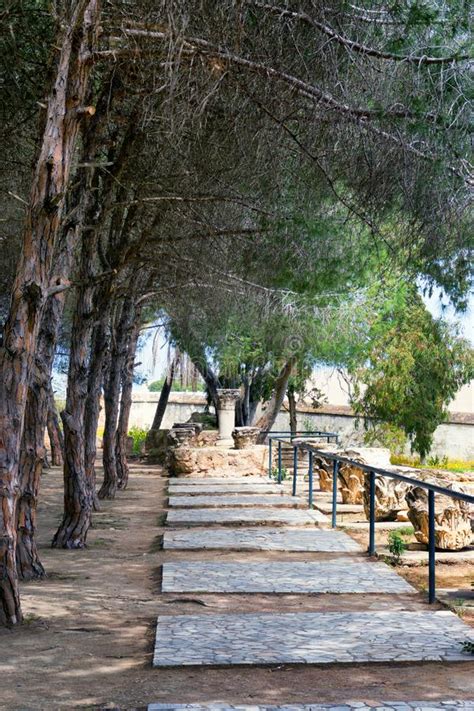 Garden in Carthage, Tunisia Stock Photo - Image of tunis, famous: 139955310