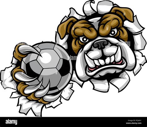 Bulldog Soccer Football Mascot Stock Vector Image & Art - Alamy