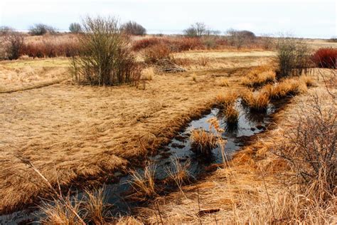 Boundary Bay Regional Park, Tsawwassen | Vancouver Trails