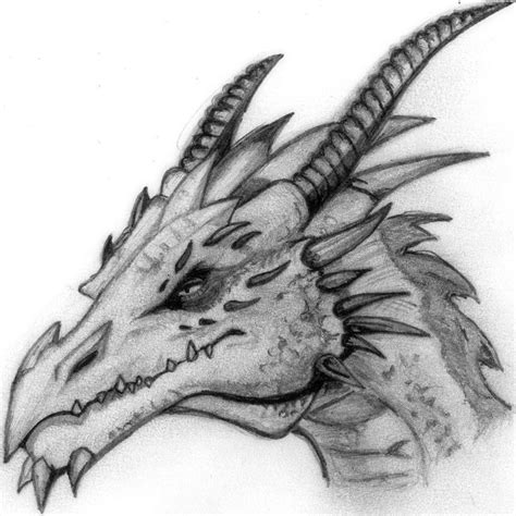 How To Draw a Dragon Head Step By Step For Beginners New 2015 ...