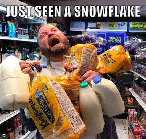 Snow Day Memes (29 pics)