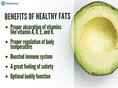 Your Official Guide to Healthy Fats – Medisential