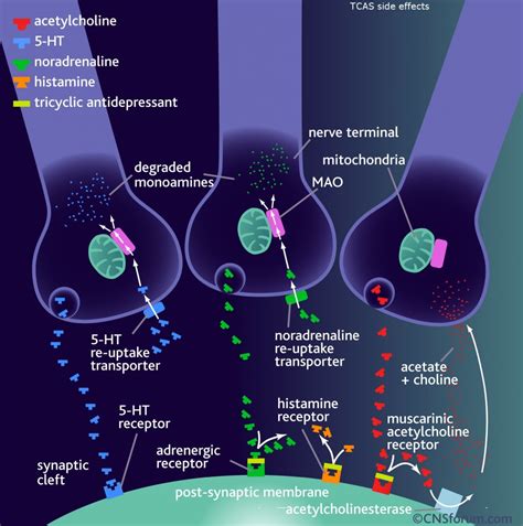 Differences between tricyclic antidepressants and SNRIs mechanism of action - Pharmacology Corner